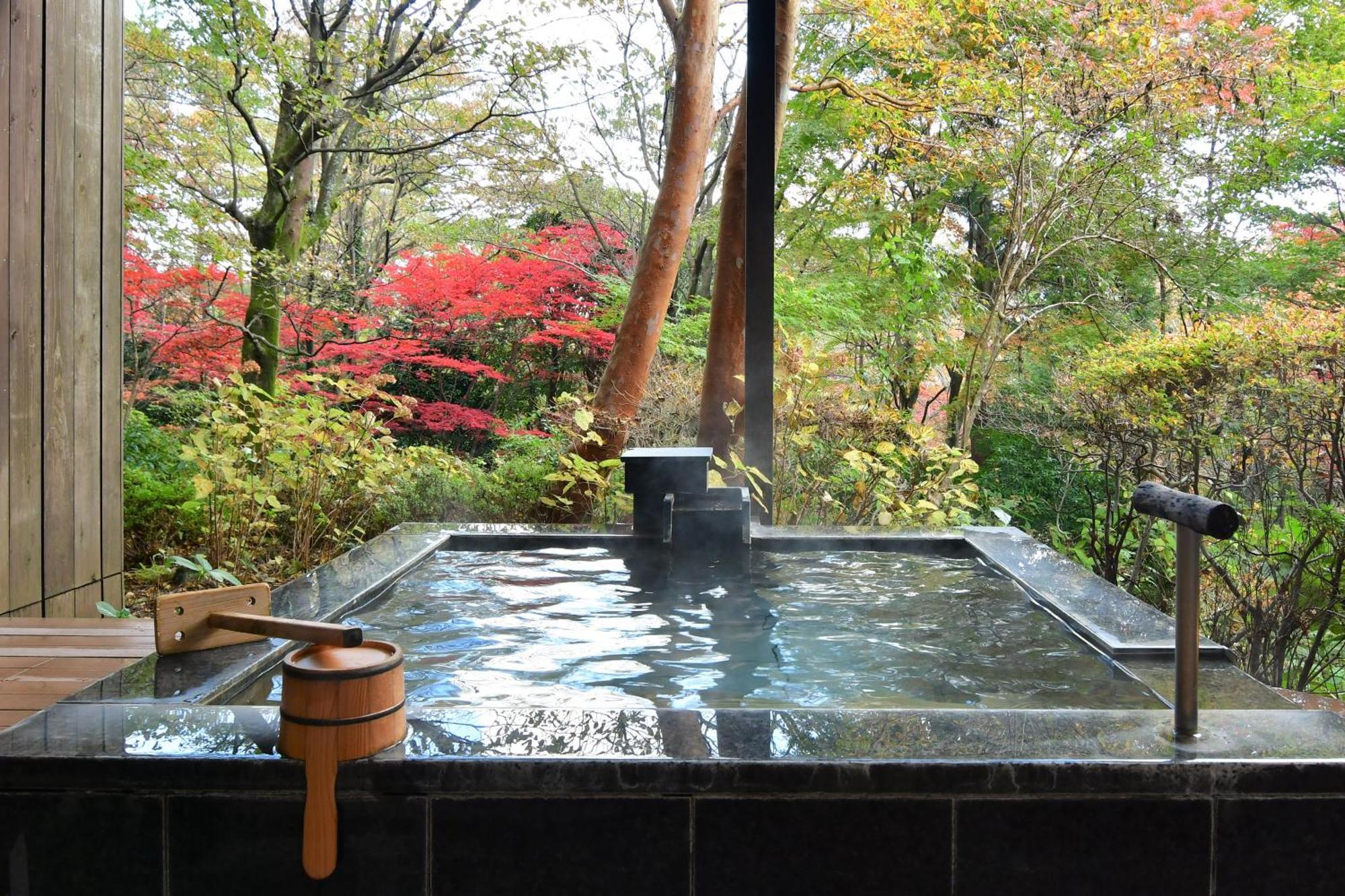Hakone Gora Byakudan Hotel Bagian luar foto